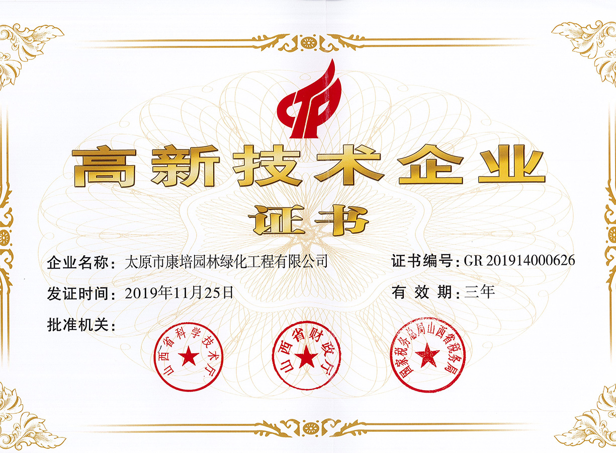 技術(shù)力量雄厚